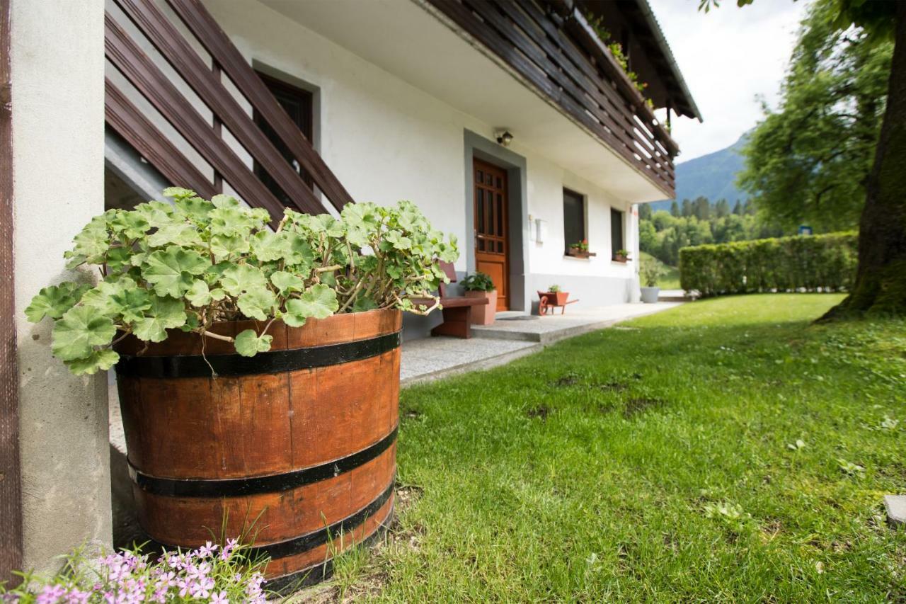 Apartamento Apartma Pr Gatej Bohinj Exterior foto